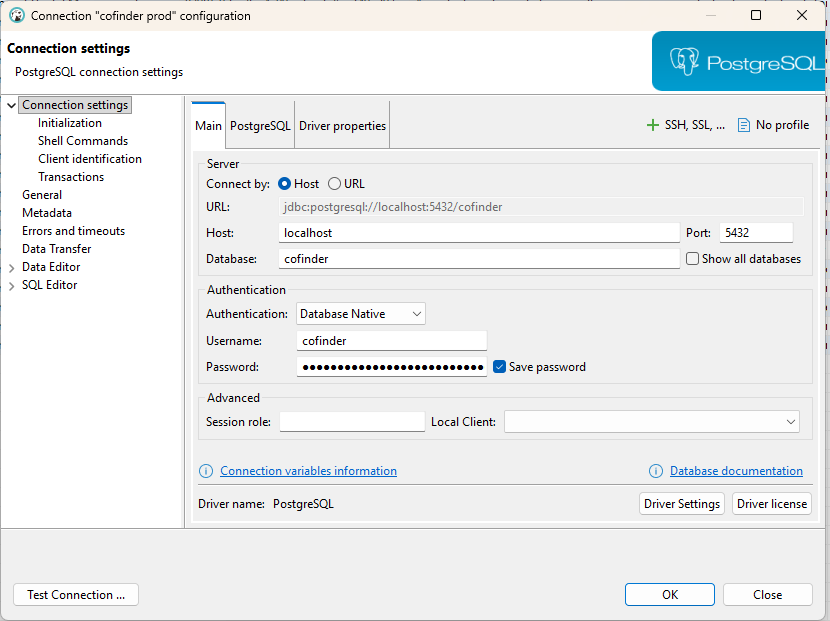 Screenshot of DBeaver setup